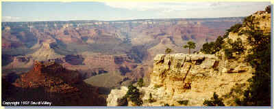 Grand Canyon View